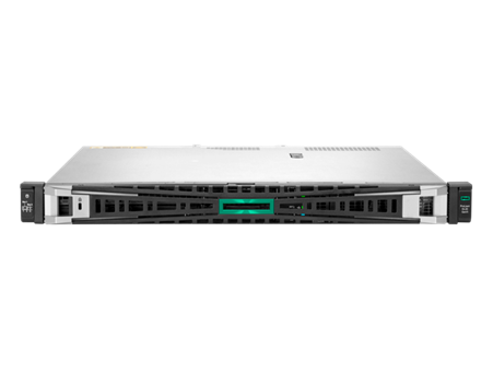 HPE ProLiant DL20 Gen11 Server (P81568-375)