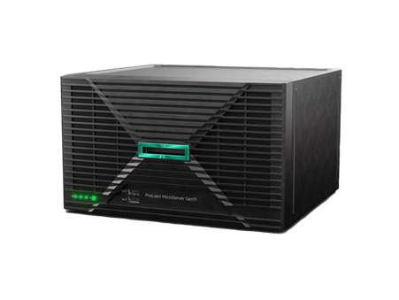 HPE ProLiant MicroServer Gen11 Server (P79744-375)