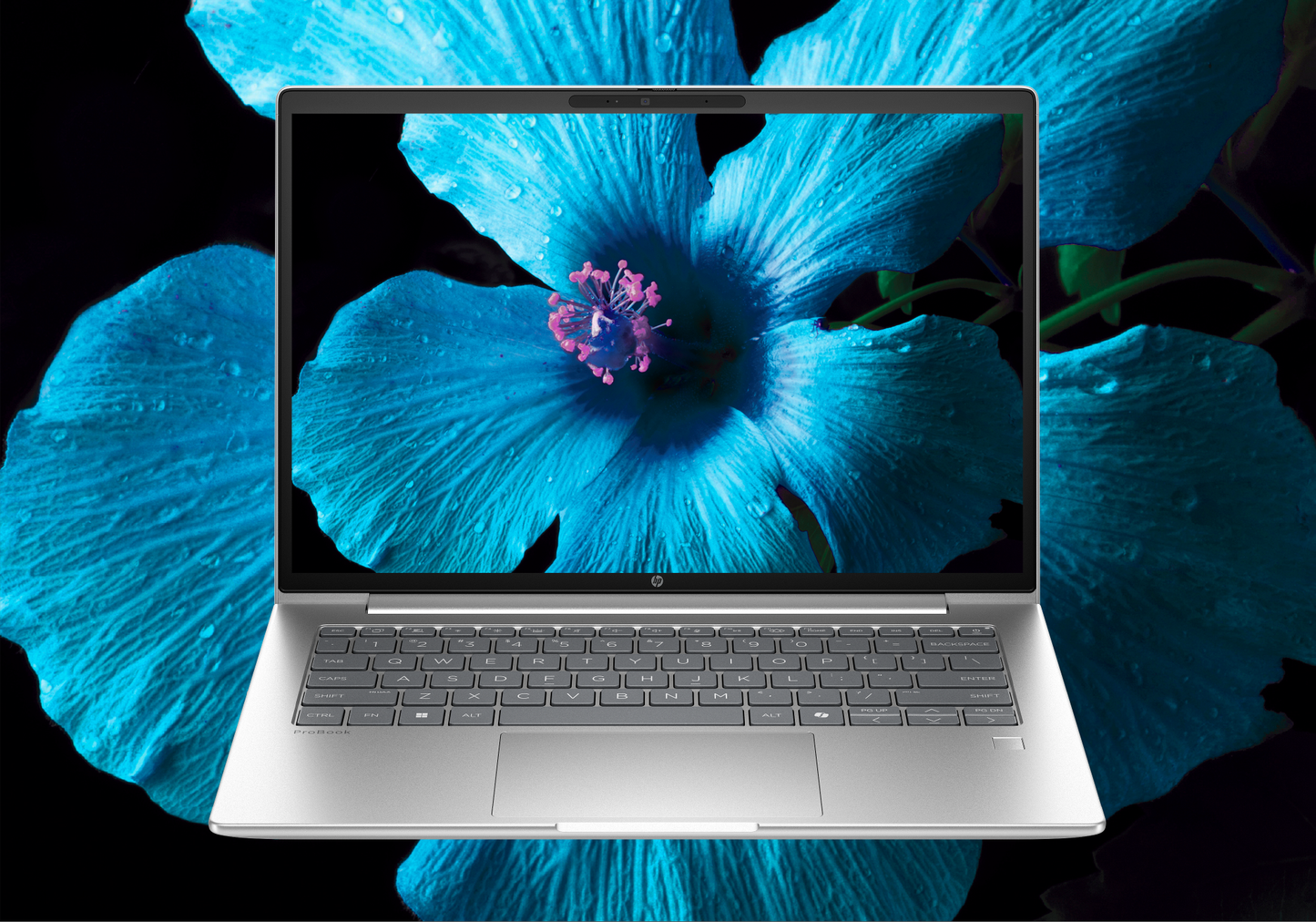 HP ProBook 4 G1iR 14" Business Laptop i5-120U/16GB/512GB (C3UR9AT)